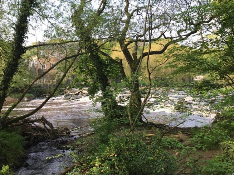River Airebnb Μπράντφορντ Εξωτερικό φωτογραφία